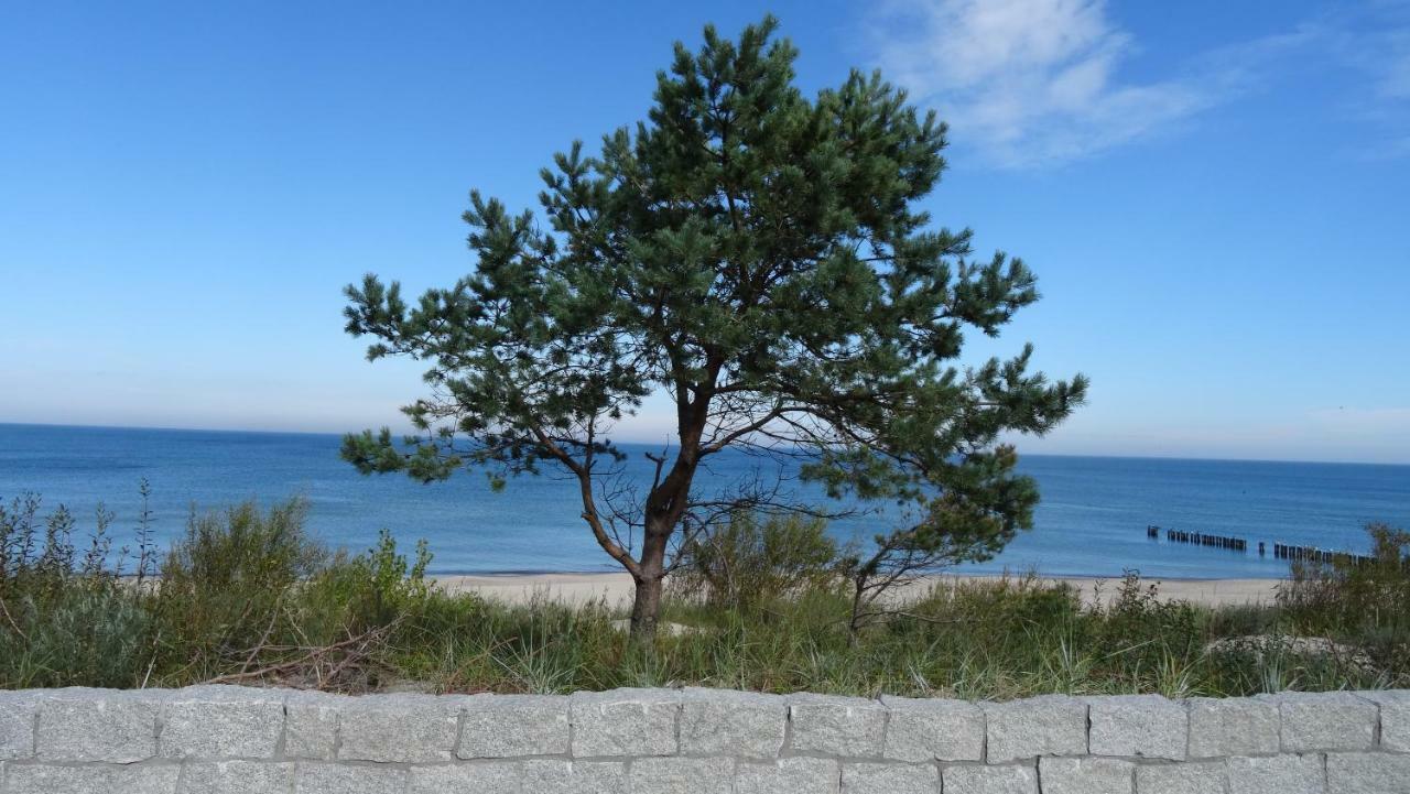 Czarmorza Pokoje Goscinne Großmöllen Exterior foto